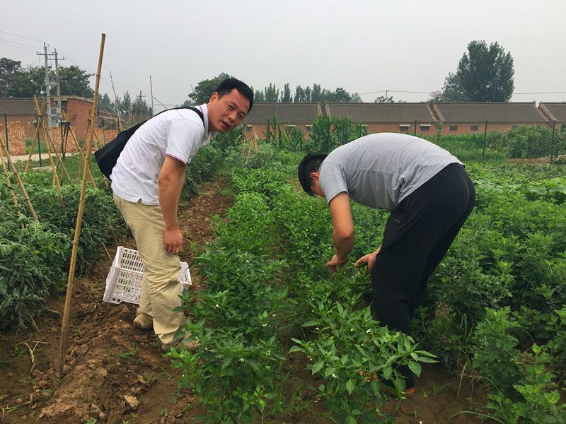 好利來郭總喊您來摘菜啦！綠色無公害，放心！