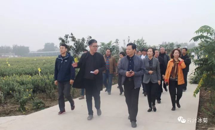云臺冰菊基地發(fā)生了什么？一批批領(lǐng)導(dǎo)專家團(tuán)隊(duì)前來！